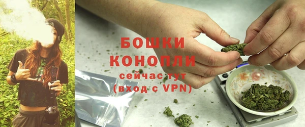 mix Белокуриха